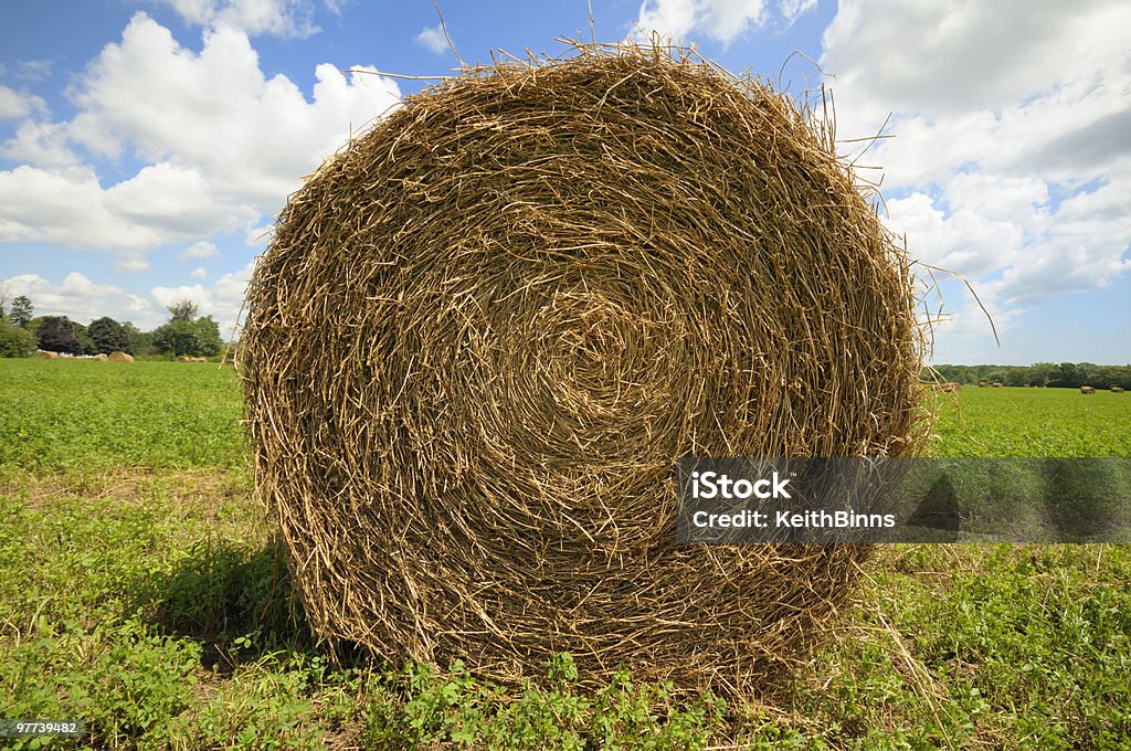 A big hay bale on a farm on a sunny day A single hay bale. Adobe RGB color profile. Bale Stock Photo