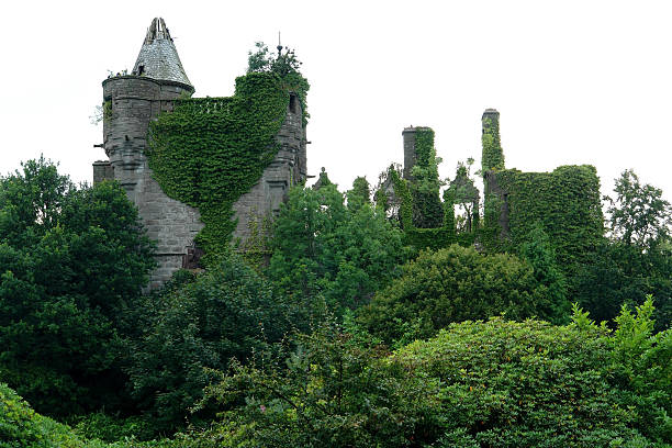 idyllic overgrown ruin surrounded by green vegetation in Scotland near Drymen