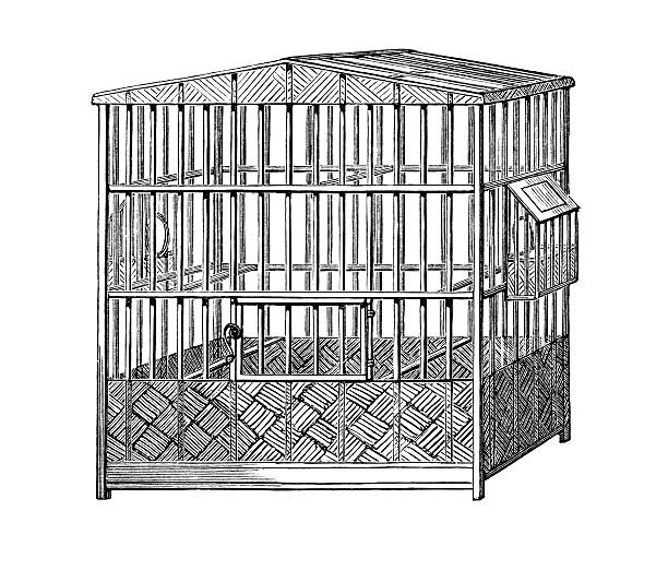 Vintage Birdcage Illustration Isometric Stock Illustration - Download Image  Now - Birdcage, Cage, Old-fashioned - iStock
