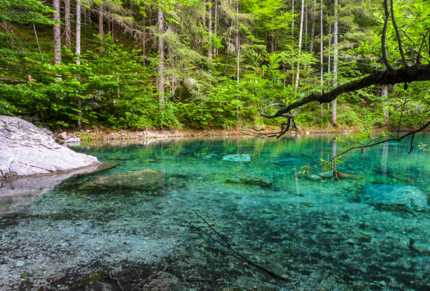 istock Alternative lake on Tovel Valley 977397402