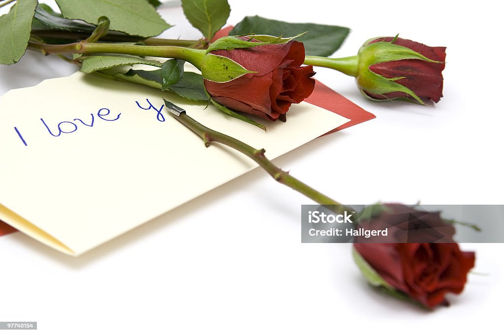 Love letter - Lizenzfrei Blume Stock-Foto