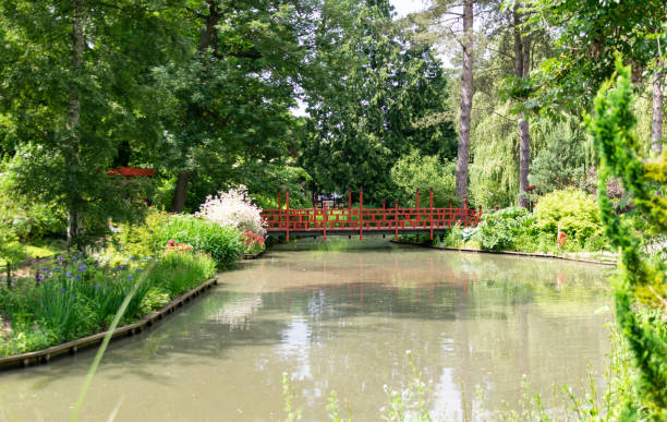 istock A red ornamental bridge spans over a large pond 977418878