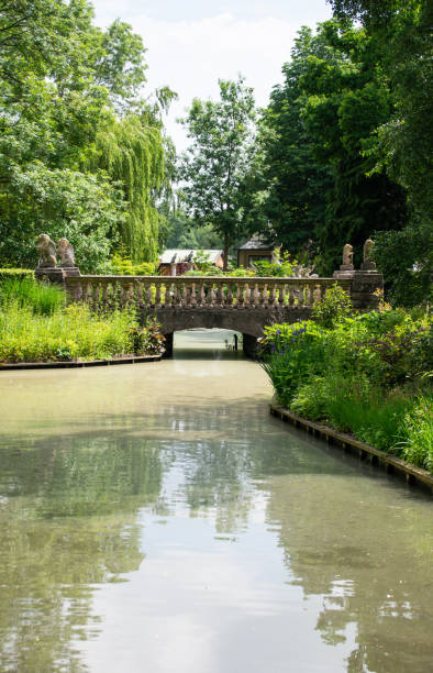 istock An ornamental bridge over a lake 977419116