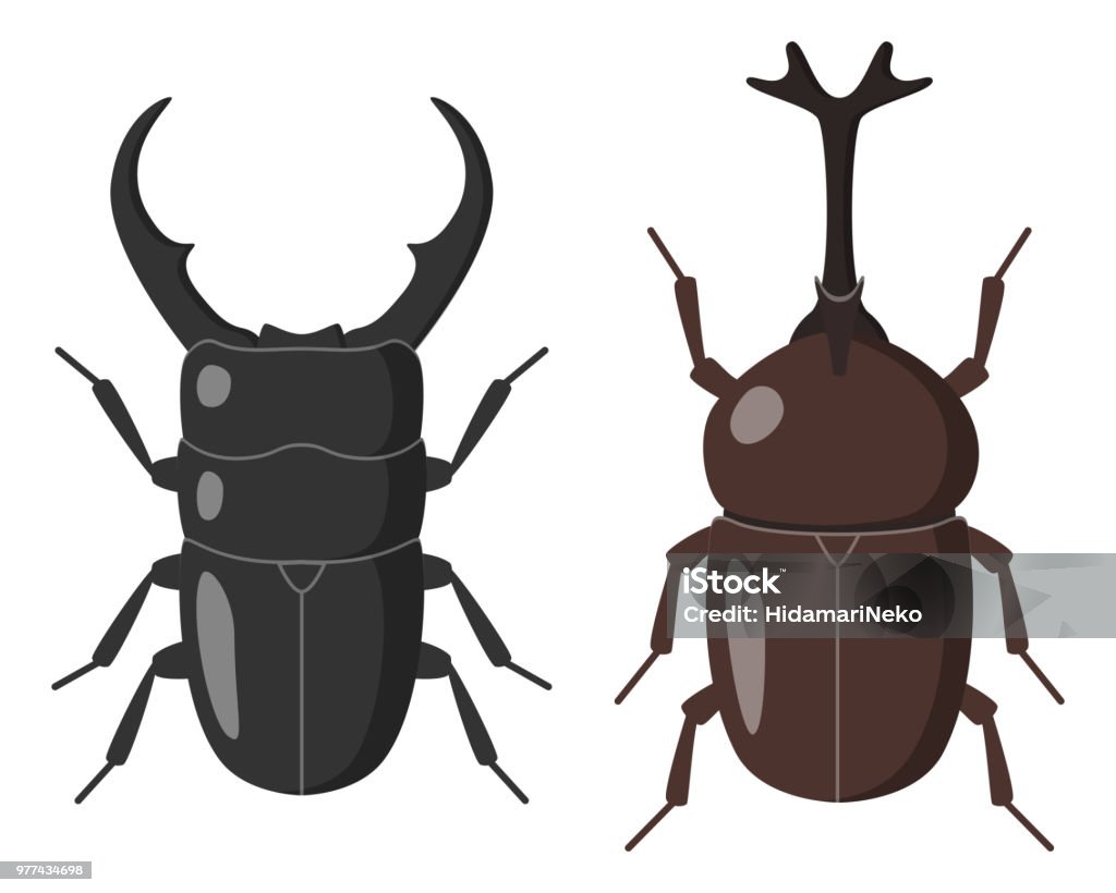사슴 벌레와 일본 발 정된 딱정벌레 장수풍뎅이에 대한 스톡 벡터 아트 및 기타 이미지 - 장수풍뎅이, 벡터, 0명 - Istock