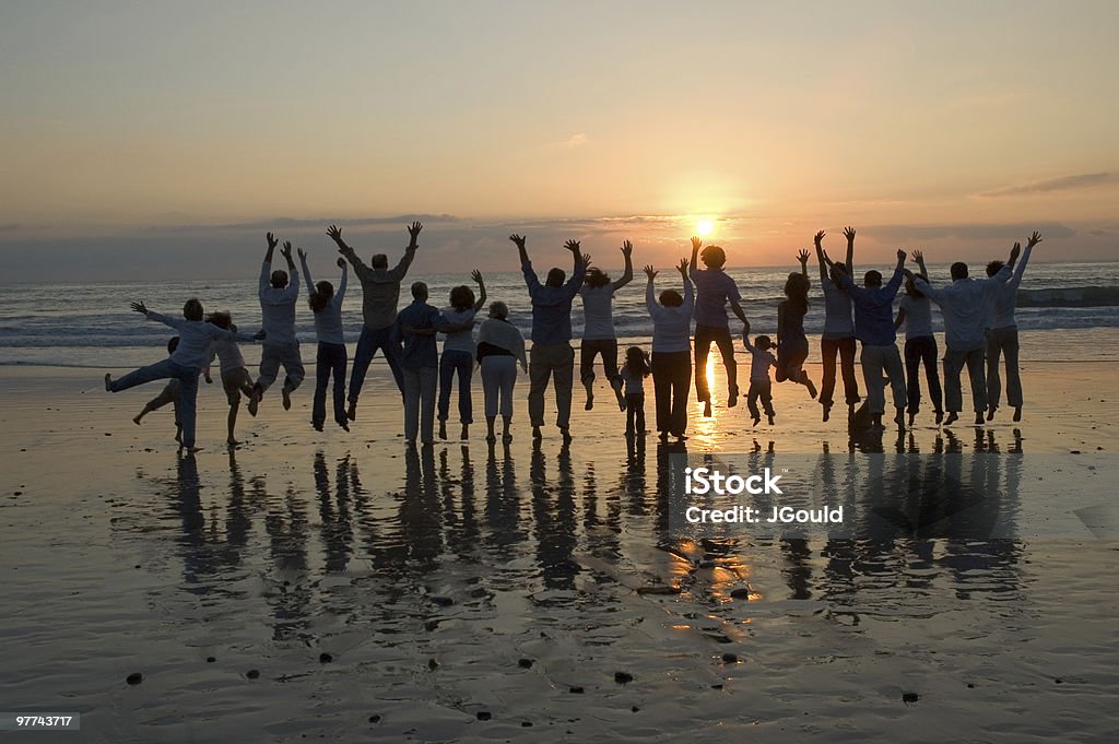 Jump for Joy  Family Reunion Stock Photo