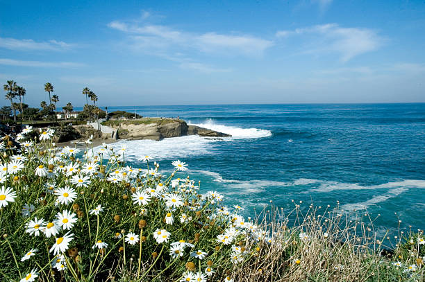 View of La Jolla Cove  la jolla stock pictures, royalty-free photos & images