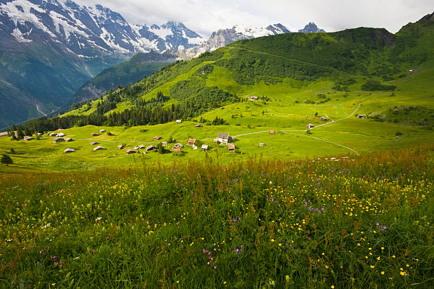 prairie alpine suisse - muerren photos et images de collection