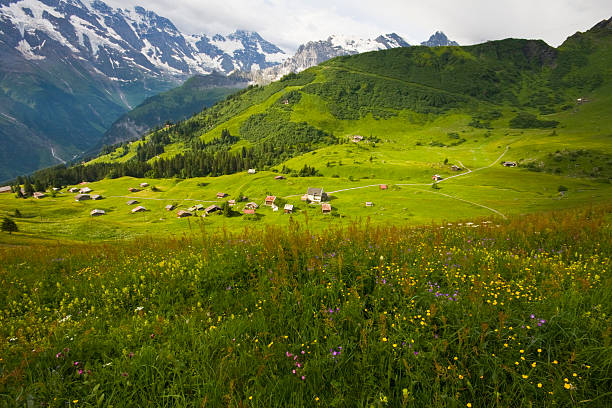 スイスアルプスの草地 - chalet house snow switzerland ストックフォトと画像