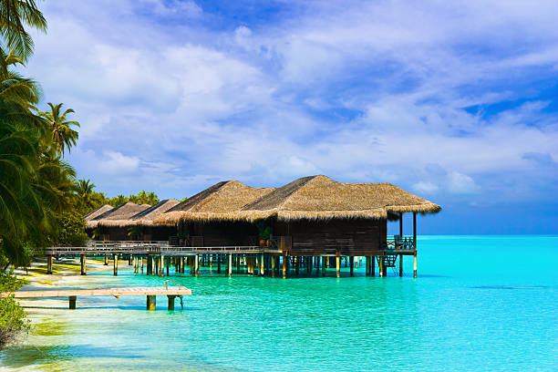 istock Water bungalows on a tropical island 97745127