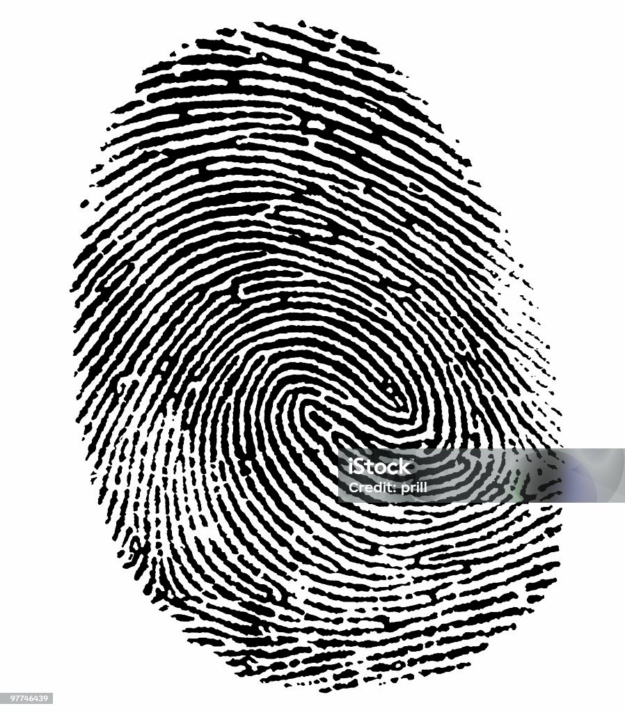 perfect thumb fingerprint a black thumb fingerprint in white back Fingerprint Stock Photo