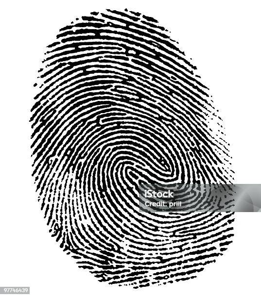Perfect Thumb Fingerprint Stock Photo - Download Image Now - Fingerprint, Abstract, Allegory Painting