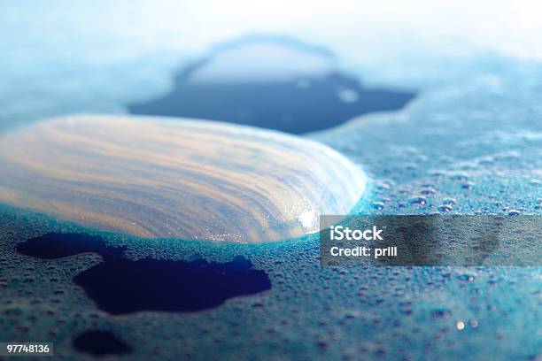 Piece Of Soap Stock Photo - Download Image Now - Bar Of Soap, Floating On Water, Beauty