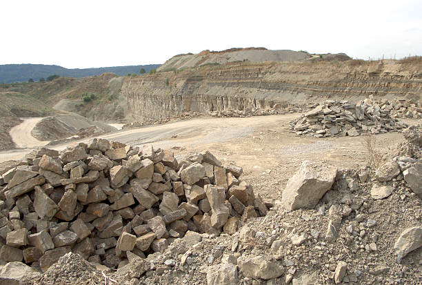 stone pit scenery detail of a stone pit in Southern Germany at summer time schutt stock pictures, royalty-free photos & images