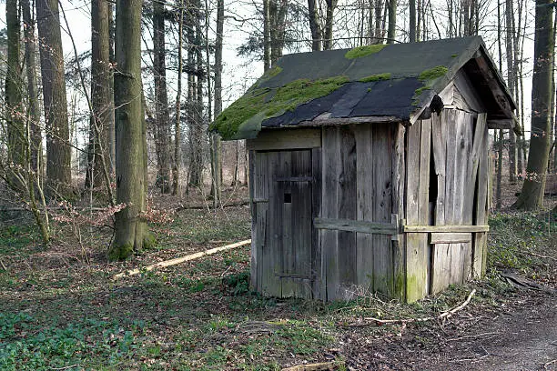 outdoor shot of a old ramshackle wooden shack in the forest