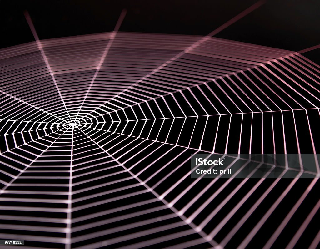 Окрашенный cobweb - Стоковые фото Ажурный роялти-фри