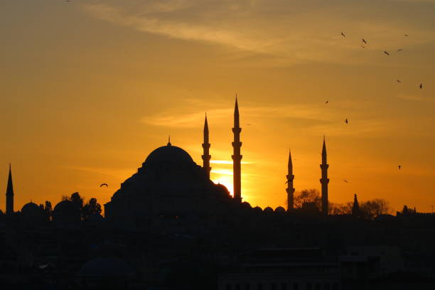istock Silhouette of Suleymaniye Mosque 977492274