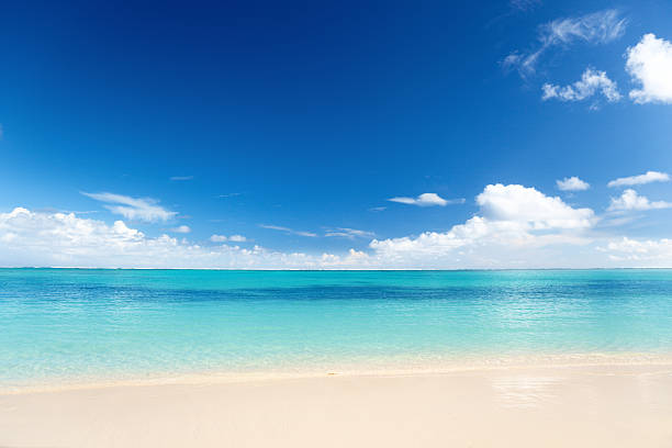 istock sand of beach caribbean sea 97749641