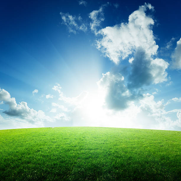 istock field of grass and sun 97749647