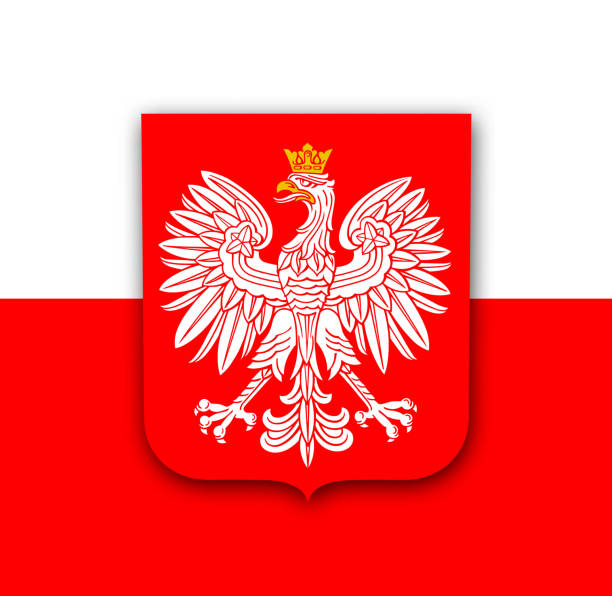 ilustraciones, imágenes clip art, dibujos animados e iconos de stock de bandera de polonia con el águila - polonia