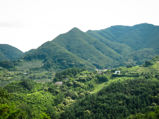 istock Houses bloomed on ridges 977522228