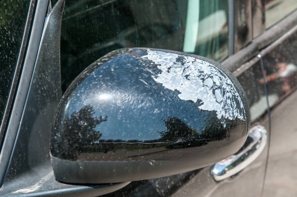 istock Black car side mirror for rear view with damaged and peeled paint 977526230