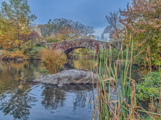 istock Gapstow bridge Central Park, New York City 977526324