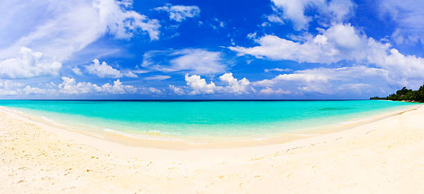 istock Panorama of tropical beach 97752789