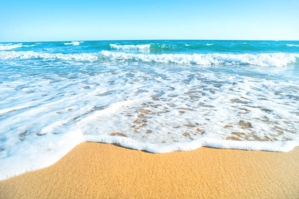 istock Tropical beach with sand and sea 977553496