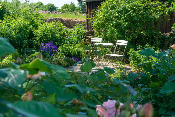 sillas blancas y mesa en una jardín, isla de bornholm, dinamarca - denmark house cottage rural scene fotografías e imágenes de stock