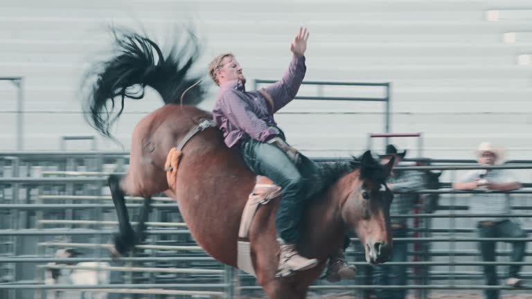 Utah horsel riding rodeo