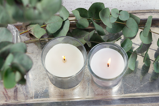Natural eco home decor with green leaves and burning candles on tray