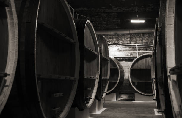 Vintage wooden barrels in dark winery Vintage wooden barrels in dark winery basement, monochrome photo with selective focus inkerman stock pictures, royalty-free photos & images