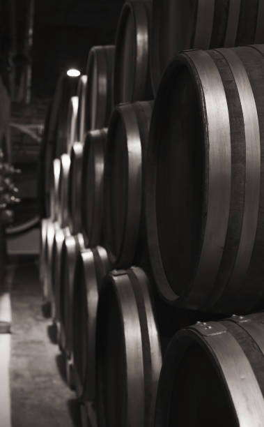 istock Wooden barrels in dark winery, close up 977565416