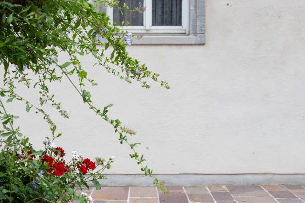 istock ancient stone facade with flowers and pots foliage 977573686