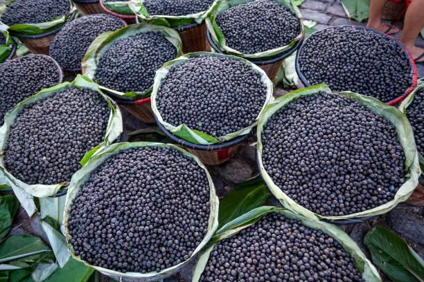 Acai is one of the main foods in the Brazilian Amazon region. Its appreciation in the world market made the fruit one of the main Amazon products for export.