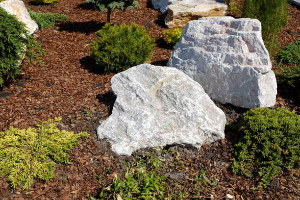 istock Landscape design. Bushes, rocks. Dwarf spruce. Flowers. 977588988