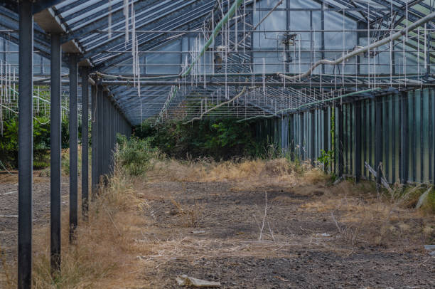 istock Big abandoned gardening 977589100