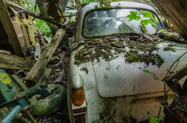 old car with moss and plants on a farm