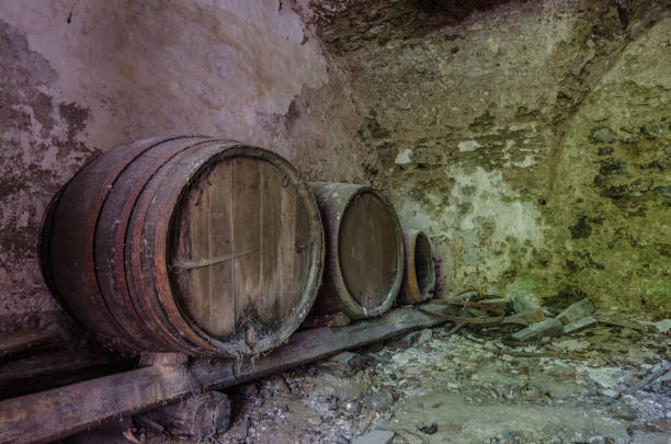 istock wooden barrels in a cellar 977591120