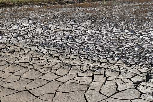 drought-stricken lands,
soil that is cracked due to drought,
climate change and drought,