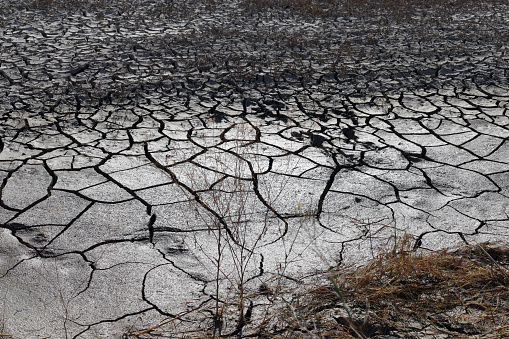 drought-stricken lands,
soil that is cracked due to drought,
climate change and drought,