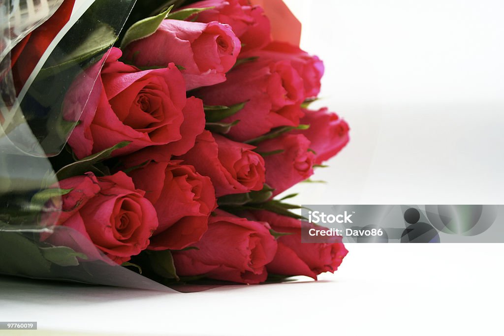 Grupo de Flores - Royalty-free Beleza Foto de stock