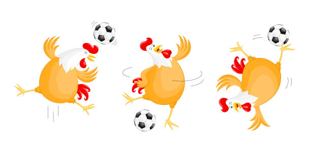 Set of happy chicken playing football. Mascot character, sport concept. Illustration isolated on white background. chicken balls stock illustrations