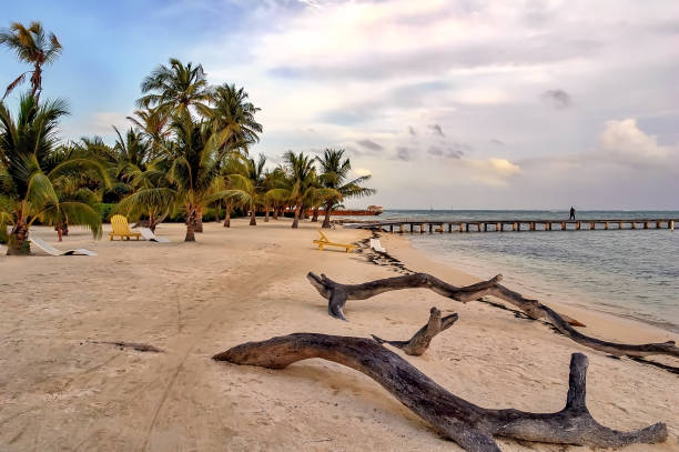 istock Beautiful Caribbean beach in Ambergris Caye, Belize. 977617056