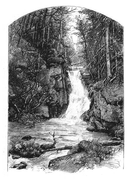 illustrazioni stock, clip art, cartoni animati e icone di tendenza di scena di campagna, rocce del torrente di montagna e alberi - old fashioned scenics engraving river