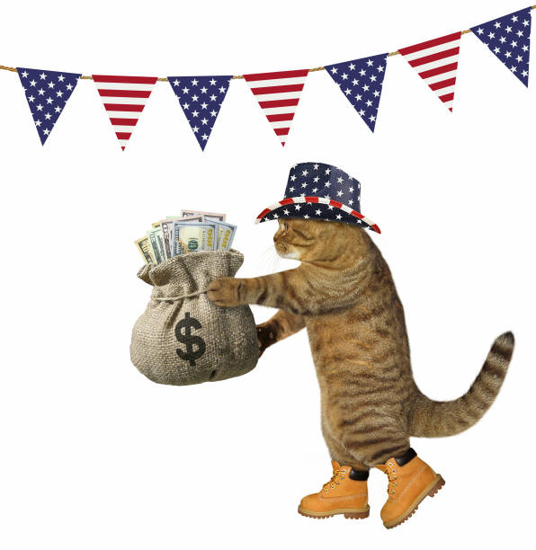 istock Cat with a sack of money under flags 977626070
