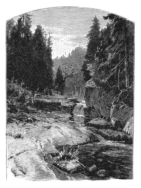 scena wiejska, skały górskie i drzewa - old fashioned scenics engraving river stock illustrations