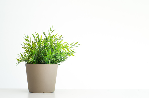 Fake artificial green potted plant in gray pot isolated against white background