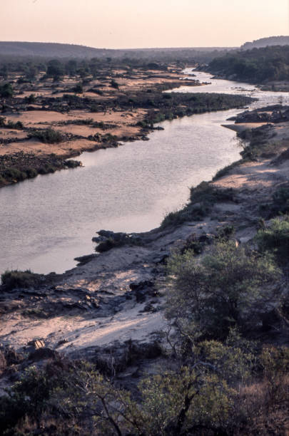 istock Olifant river in the Kruger National Park 977632298