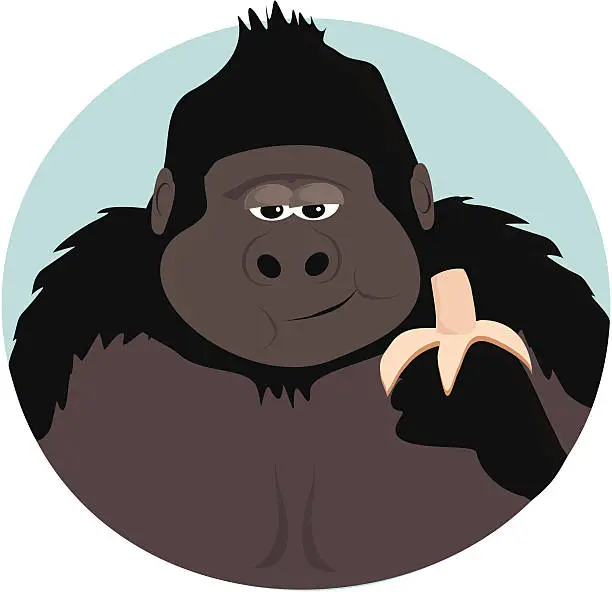 Vector illustration of Gorilla eating a Banana
